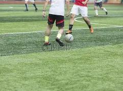 遗憾,我国人口冠,绝亚洲却无,安博体育平台,安博体育官方网站,安博体育登录入口,安博体育app下载