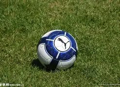 上海体育改,十五运展现,城市软实力,安博体育平台,安博体育官方网站,安博体育登录入口,安博体育app下载