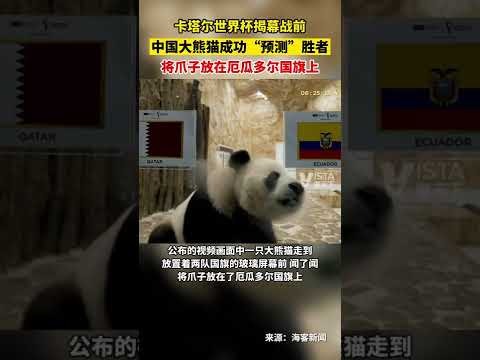 安博体育,产品,安博体育平台,安博体育平台,安博体育官方网站,安博体育登录入口,安博体育app下载