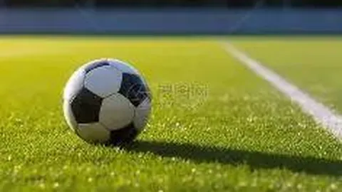 国奥队最新阵容揭晓：朱辰杰在列，张玉宁杨立瑜坐镇