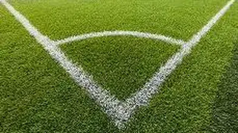 安博体育 资讯 133916 2go